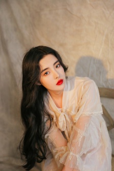 少女的心是什么书
